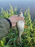 IMG_20250605_073453.jpg
