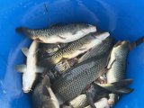 IMG_0044.jpeg