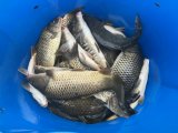 IMG_0029.jpeg