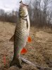 DSC02927.JPG