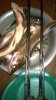 WP_20140617_002.jpg