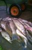 WP_20140621_007.jpg