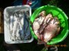 DSCN2086.JPG