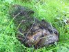 IMG_3018.jpg