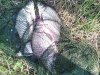 IMG_20140801_181944.jpg