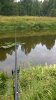 WP_20140802_002.jpg