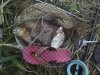 DSC00163.jpg