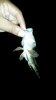 20140807_002055.jpg