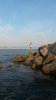 20140808_075916.jpg