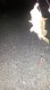 20140811_011752.jpg