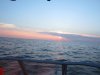 IMG_7481.jpg