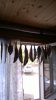 WP_20140822_001.jpg