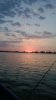 WP_20140823_011.jpg