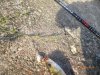 P1020333rus.jpg