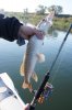 DSC01624.jpg