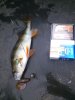 DSC_0502.jpg