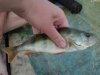GAP_DSC00555_R.jpg