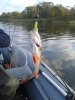 20141012_095434.jpg
