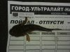 20141101_112523.jpg