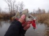 DSC00849 - копия.JPG