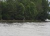 IMG_0687.jpg