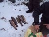 DSC07798.JPG