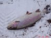 DSC07762.JPG