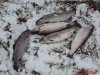 DSC07874.JPG