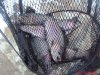 DSC07866.JPG