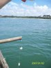 100_5068.jpg