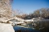 DSC_0340.jpg
