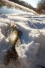 DSC_0373.jpg