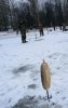 IMG_0878.jpg