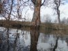 DSCF1808.jpg