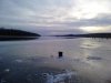 DSC_0203.jpg