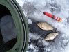 141214-1.jpg
