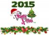 New CF 2015.jpg