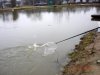 DSC05132.jpg