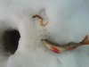 IMG_20150112_093557.jpg