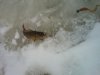 IMG_20150112_110750.jpg