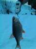 IMG_20150112_210649.jpg