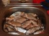 DSC06688.jpg
