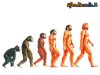 Evoluzione.jpg