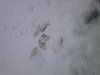 DSC_0472.jpg
