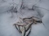 DSC00355.jpg