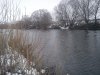 DSC00356.jpg