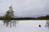 104003-83224-85498790-m750x740-u67bf8.jpg