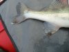 DSC07490.JPG