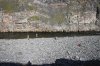 IMG_4625.jpg IMG_4625.jpg