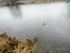 IMG_20150321_121632.jpg